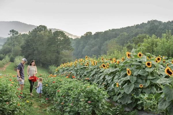 A family surrounded by flowers