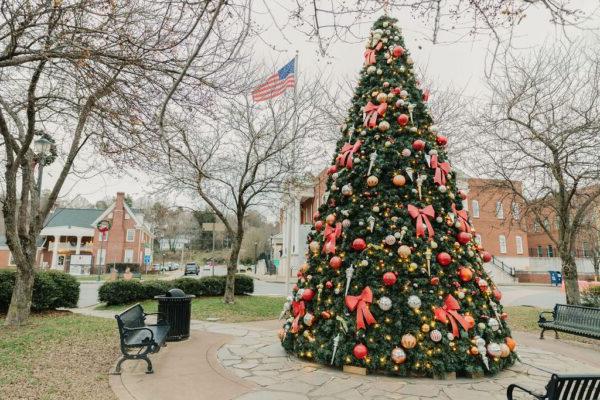 a large christmas tree in public space